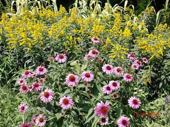 Xi'an Botanical Garden
